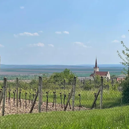 Appartement U Brezinu *